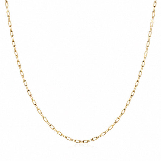Gold gold stainless steel 2mm paperlink chain necklace on a white background