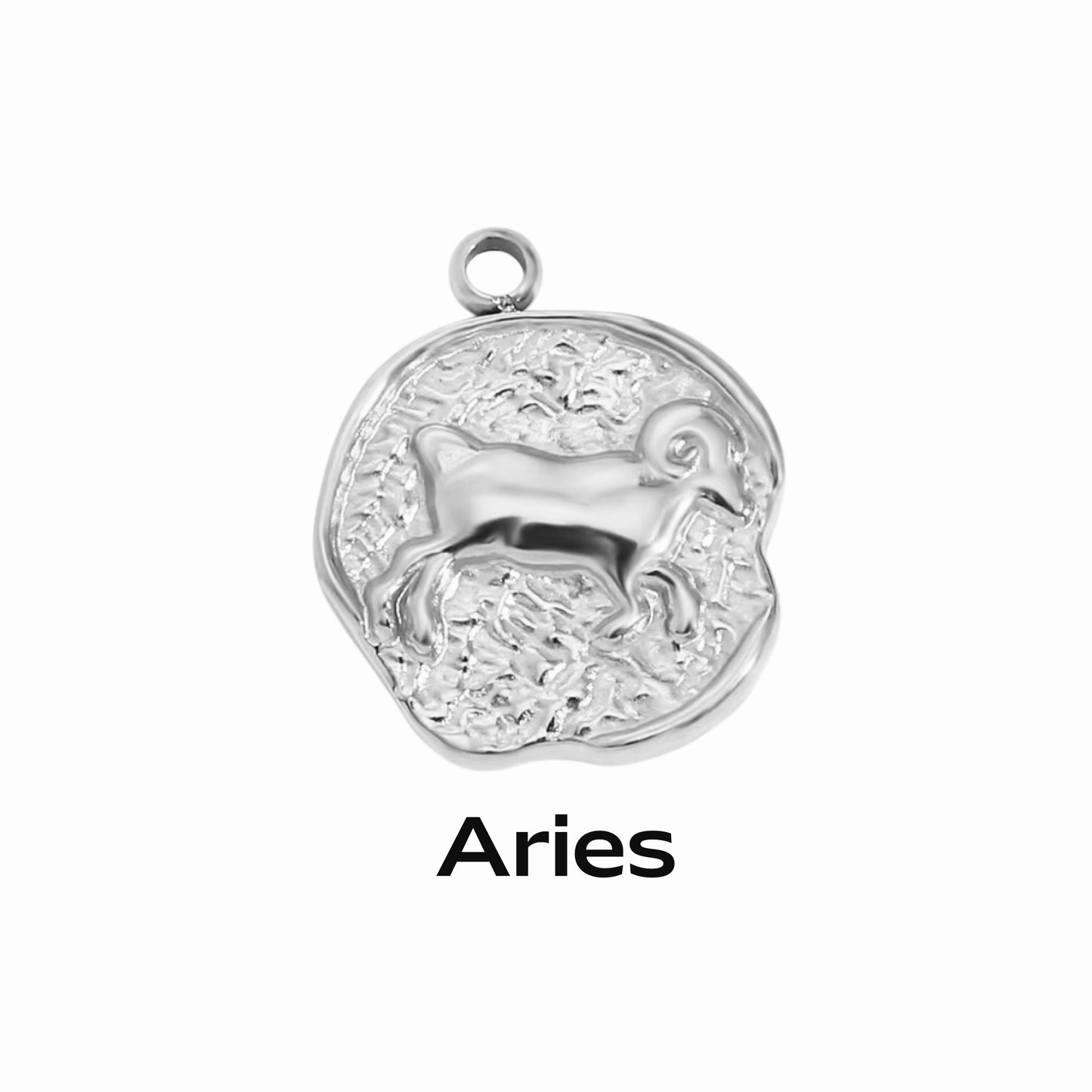 A silver coin-shaped pendant necklace with an engraved zodiac symbol, labeled 'Aquarius', indicating the 12th sign of the zodiac.