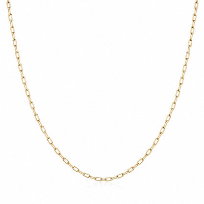 Gold gold stainless steel 2mm paperlink chain necklace on a white background